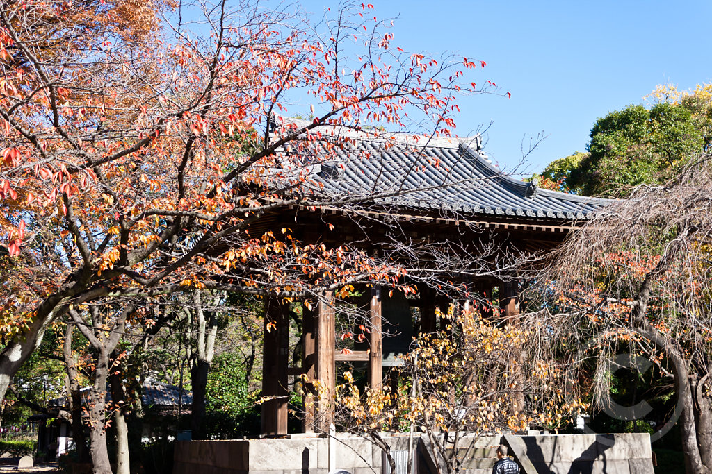 IMG-4053.jpg