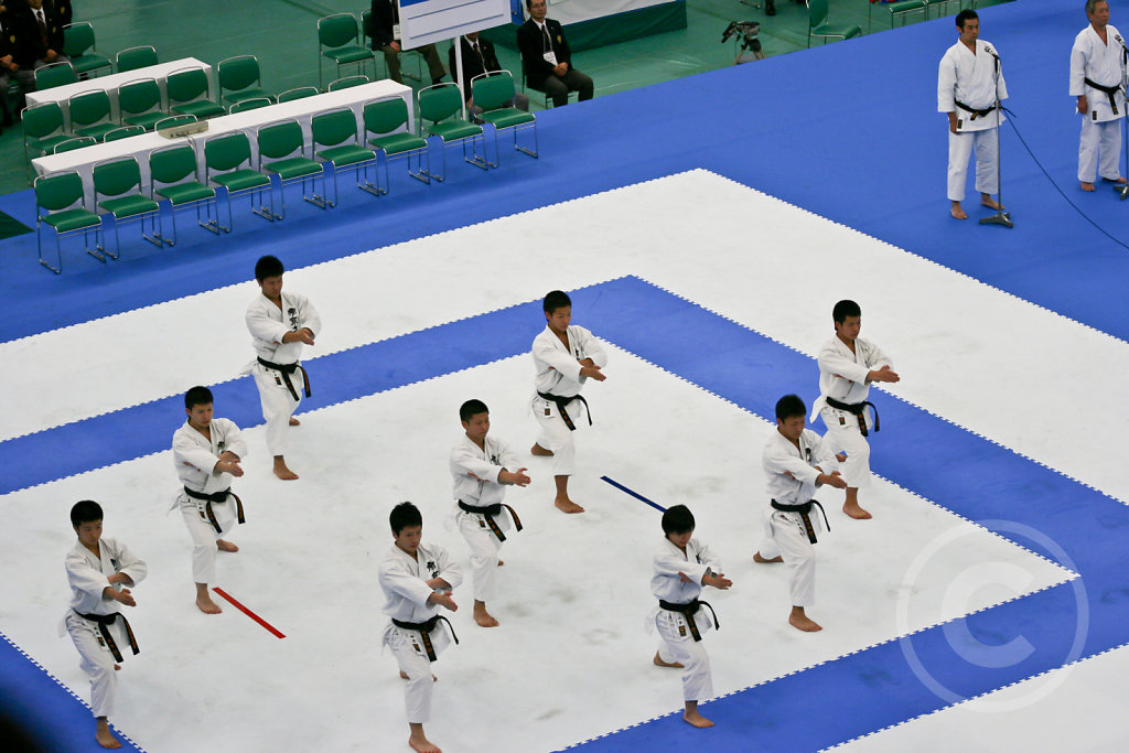 Karate Competition in Tokyo