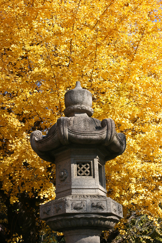 IMG-4858.jpg