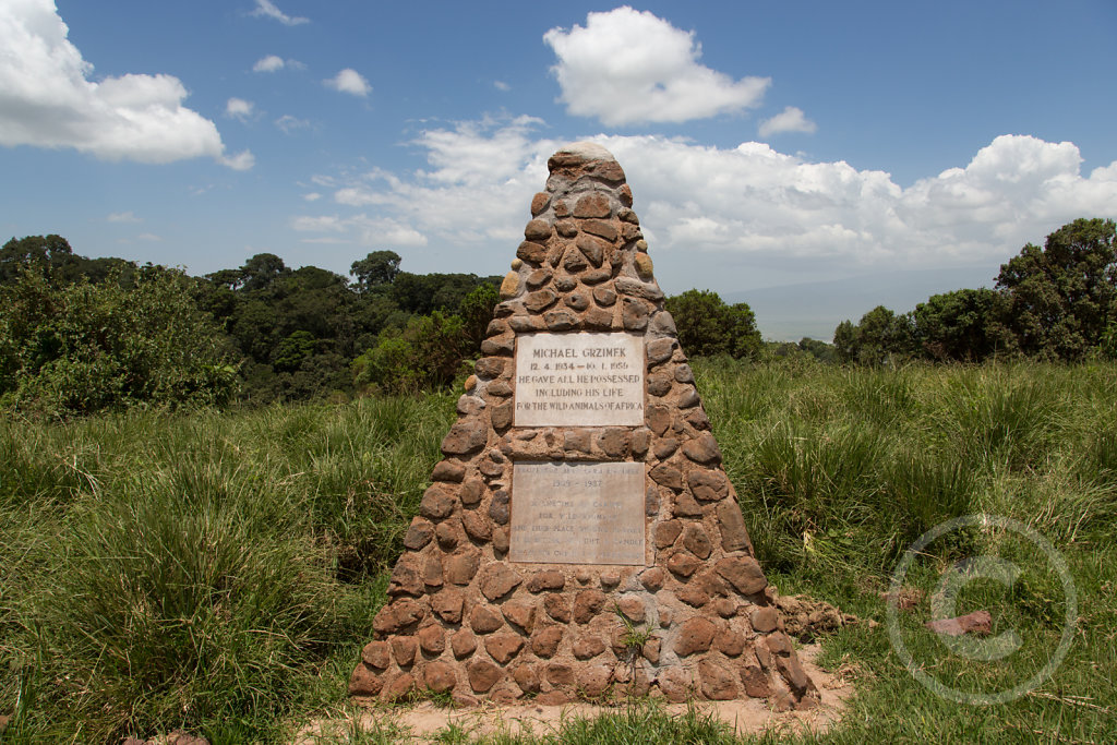 Grave of Prof. Grzimek and his son