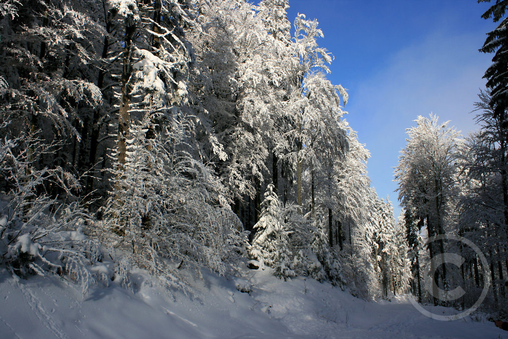IMG-3089.jpg