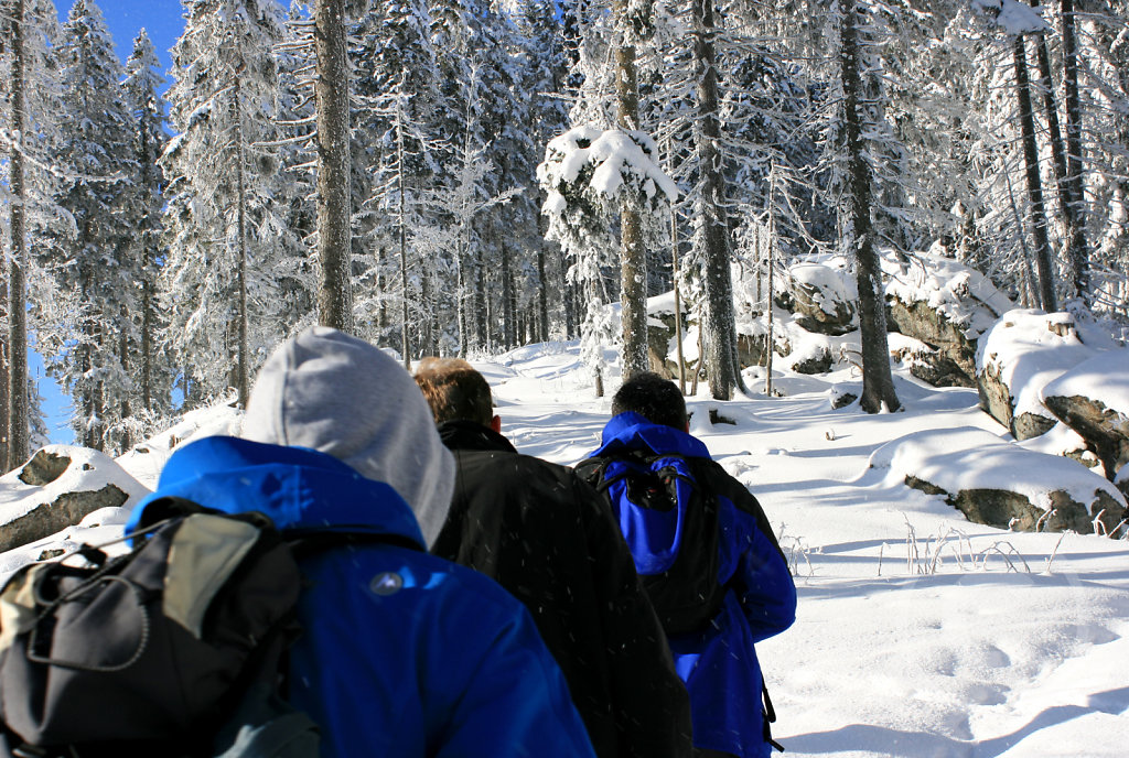 IMG-3125.jpg
