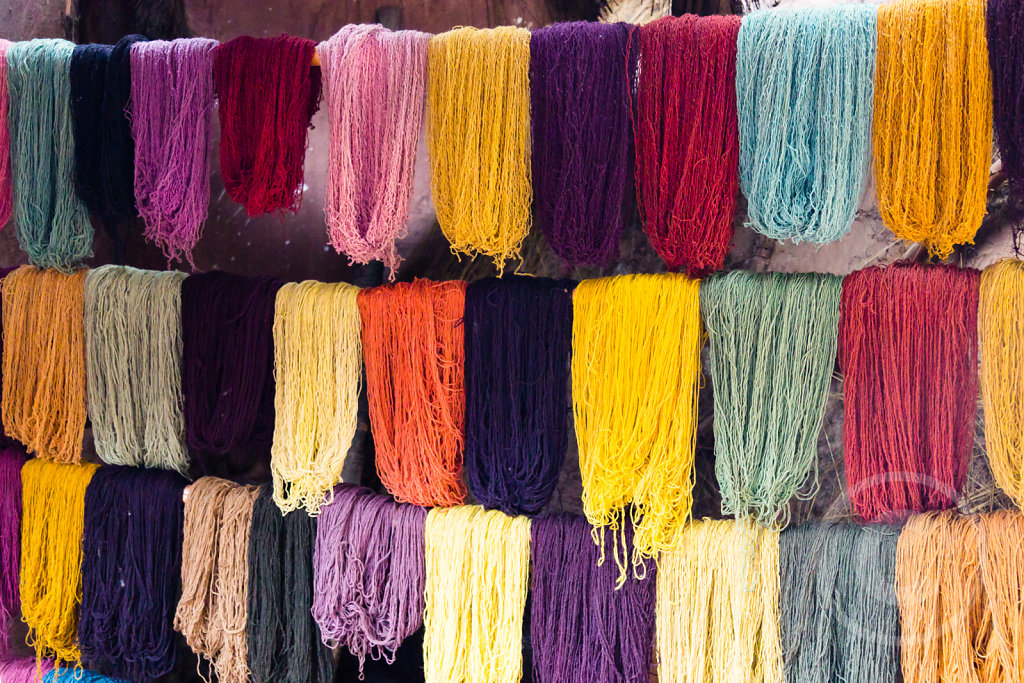 United colors of Alpaca