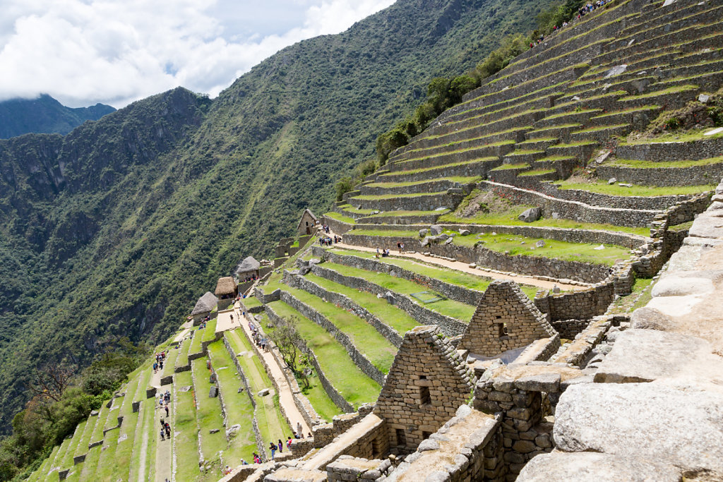 Terrace in Machu Picchu