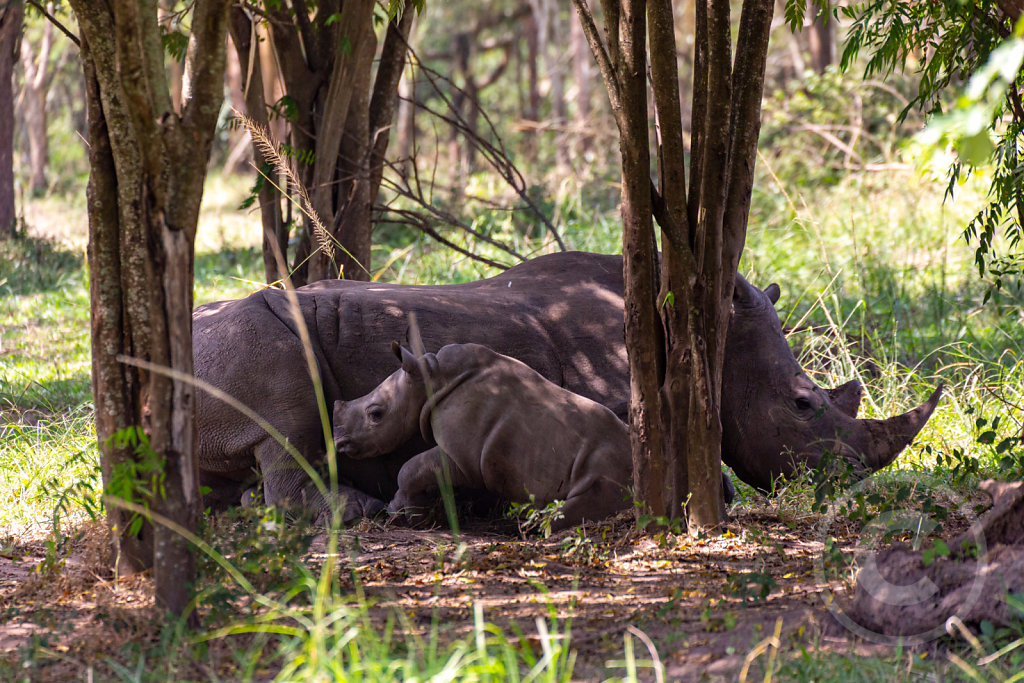 Mother with child