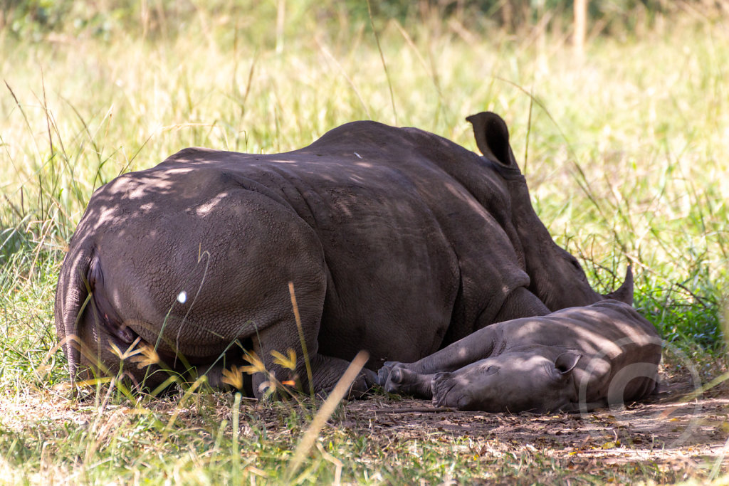 Mother with child enjoying a nap